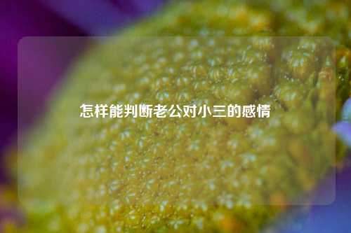 怎样能判断老公对小三的感情