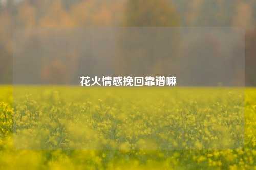 花火情感挽回靠谱嘛