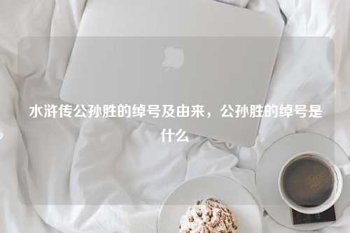 水浒传公孙胜的绰号及由来，公孙胜的绰号是什么