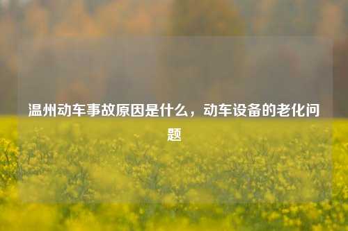 温州动车事故原因是什么，动车设备的老化问题