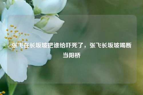 张飞在长坂坡把谁给吓死了，张飞长坂坡喝断当阳桥