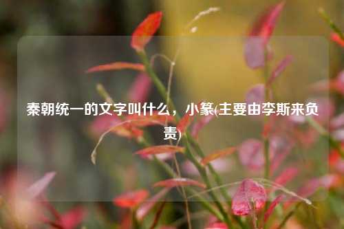 秦朝统一的文字叫什么，小篆(主要由李斯来负责)