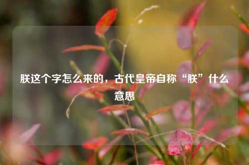 朕这个字怎么来的，古代皇帝自称“朕”什么意思