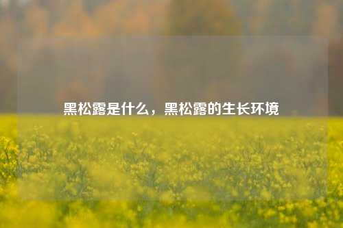 黑松露是什么，黑松露的生长环境