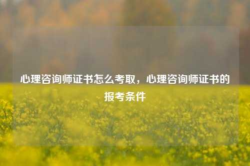 心理咨询师证书怎么考取，心理咨询师证书的报考条件