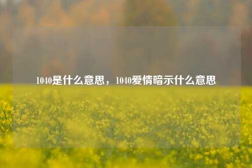 1040是什么意思，1040爱情暗示什么意思