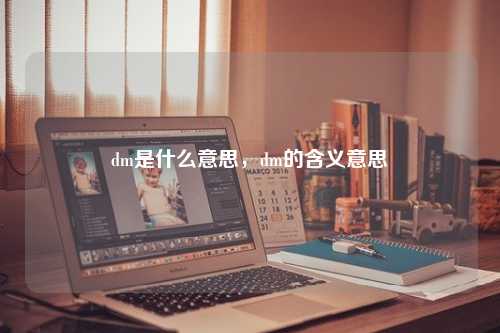 dm是什么意思，dm的含义意思