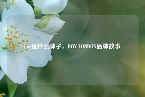 boy是什么牌子，BOY LONDON品牌故事