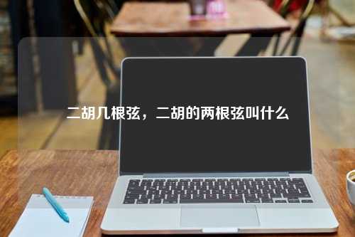 二胡几根弦，二胡的两根弦叫什么