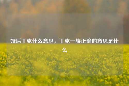 婚后丁克什么意思，丁克一族正确的意思是什么