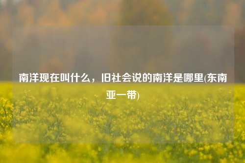 南洋现在叫什么，旧社会说的南洋是哪里(东南亚一带)