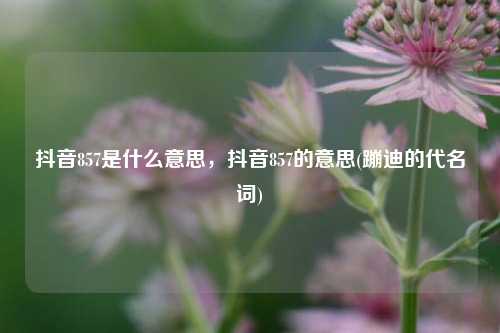 抖音857是什么意思，抖音857的意思(蹦迪的代名词)