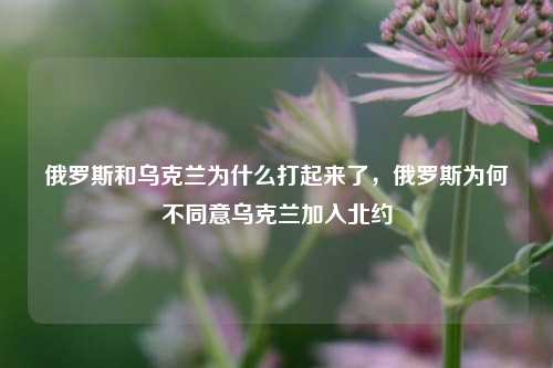 俄罗斯和乌克兰为什么打起来了，俄罗斯为何不同意乌克兰加入北约