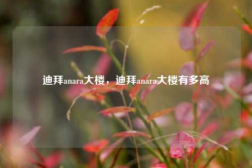 迪拜anara大楼，迪拜anara大楼有多高