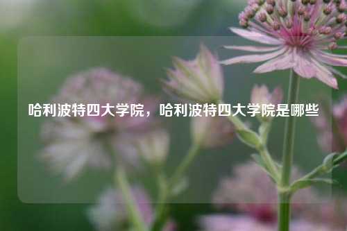 哈利波特四大学院，哈利波特四大学院是哪些