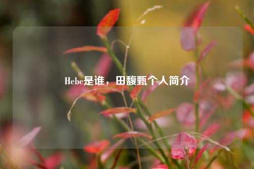 Hebe是谁，田馥甄个人简介