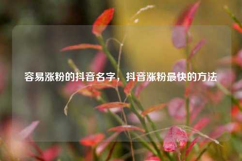 容易涨粉的抖音名字，抖音涨粉最快的方法