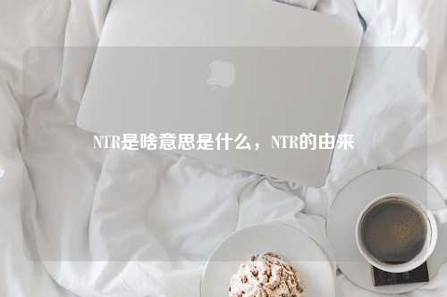 NTR是啥意思是什么，NTR的由来