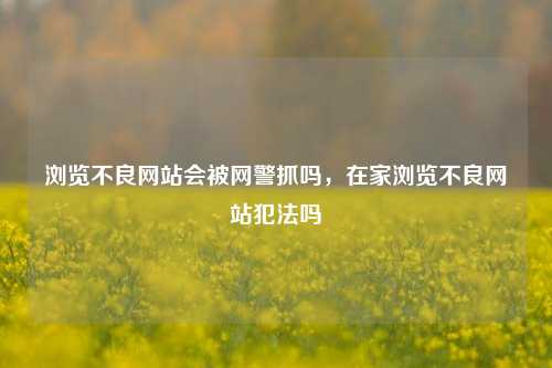 浏览不良网站会被网警抓吗，在家浏览不良网站犯法吗