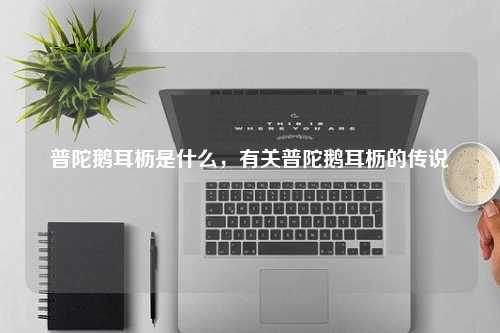 普陀鹅耳枥是什么，有关普陀鹅耳枥的传说