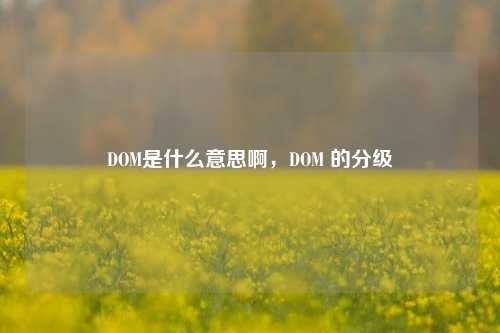 DOM是什么意思啊，DOM 的分级