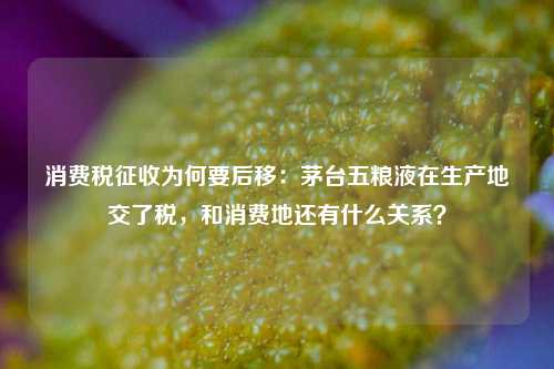 消费税征收为何要后移：茅台五粮液在生产地交了税，和消费地还有什么关系？