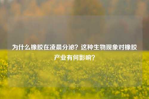 为什么橡胶在凌晨分泌？这种生物现象对橡胶产业有何影响？