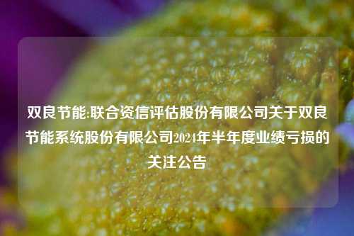 双良节能:联合资信评估股份有限公司关于双良节能系统股份有限公司2024年半年度业绩亏损的关注公告