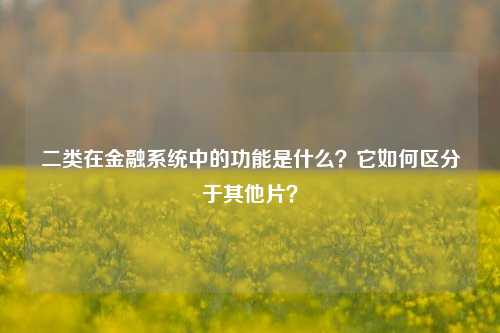 二类在金融系统中的功能是什么？它如何区分于其他片？