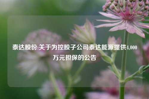 泰达股份:关于为控股子公司泰达能源提供4,000万元担保的公告