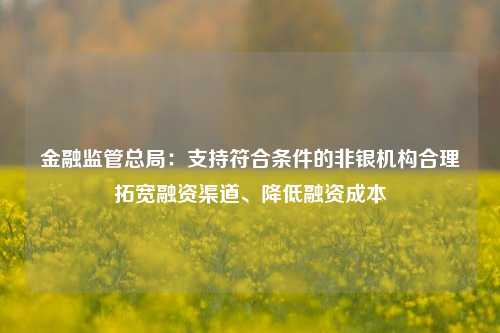 金融监管总局：支持符合条件的非银机构合理拓宽融资渠道、降低融资成本