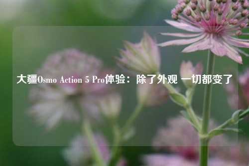 大疆Osmo Action 5 Pro体验：除了外观 一切都变了