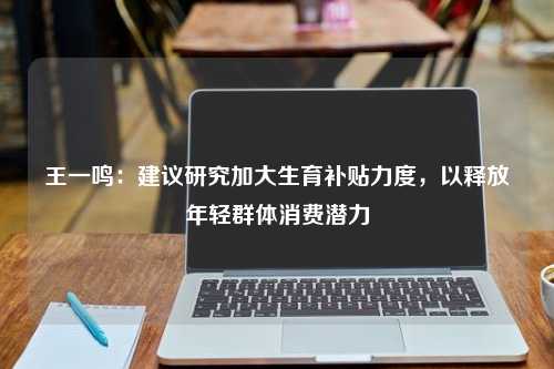 王一鸣：建议研究加大生育补贴力度，以释放年轻群体消费潜力