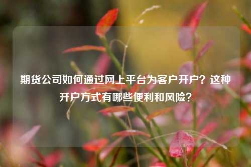 期货公司如何通过网上平台为客户开户？这种开户方式有哪些便利和风险？