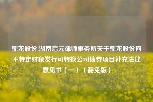 鼎龙股份:湖南启元律师事务所关于鼎龙股份向不特定对象发行可转换公司债券项目补充法律意见书（一）（豁免版）