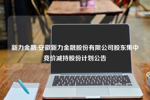 新力金融:安徽新力金融股份有限公司股东集中竞价减持股份计划公告