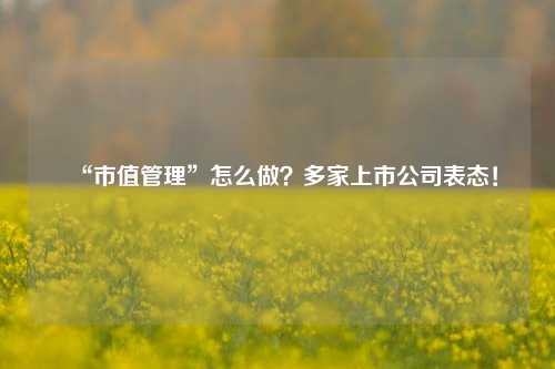 “市值管理”怎么做？多家上市公司表态！