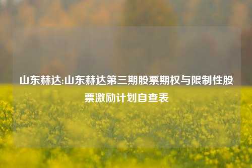 山东赫达:山东赫达第三期股票期权与限制性股票激励计划自查表