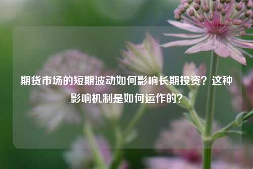 期货市场的短期波动如何影响长期投资？这种影响机制是如何运作的？