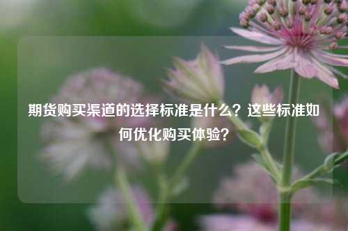 期货购买渠道的选择标准是什么？这些标准如何优化购买体验？