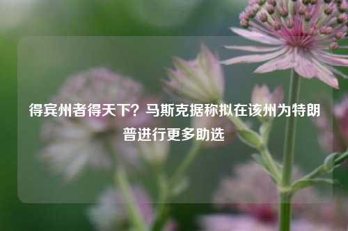 得宾州者得天下？马斯克据称拟在该州为特朗普进行更多助选