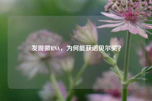 发现微RNA，为何能获诺贝尔奖？