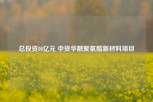 总投资80亿元 中资华融聚氨酯新材料项目