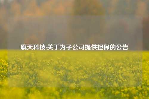 旗天科技:关于为子公司提供担保的公告