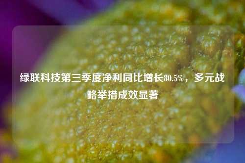 绿联科技第三季度净利同比增长80.5%，多元战略举措成效显著