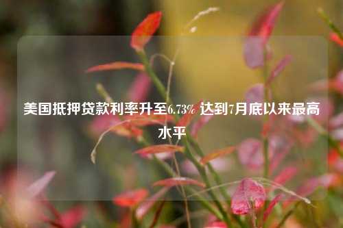 美国抵押贷款利率升至6.73% 达到7月底以来最高水平