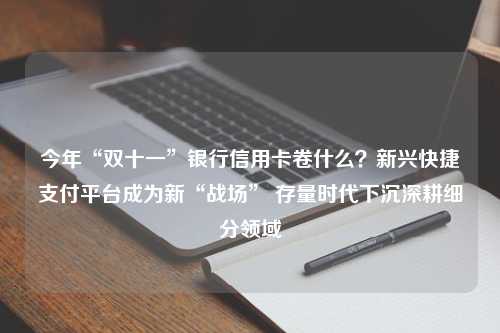 今年“双十一”银行信用卡卷什么？新兴快捷支付平台成为新“战场” 存量时代下沉深耕细分领域