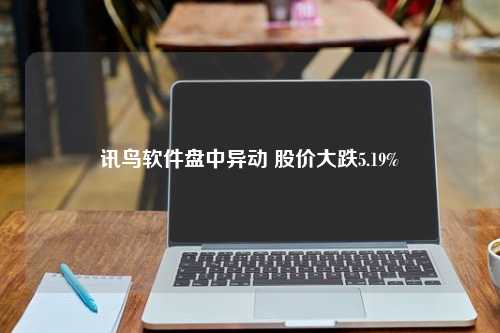 讯鸟软件盘中异动 股价大跌5.19%