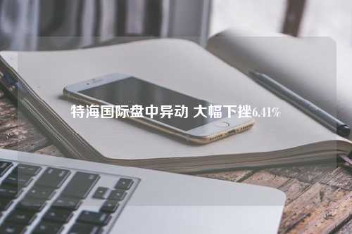 特海国际盘中异动 大幅下挫6.41%