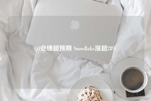 Q3业绩超预期 Snowflake涨超28%